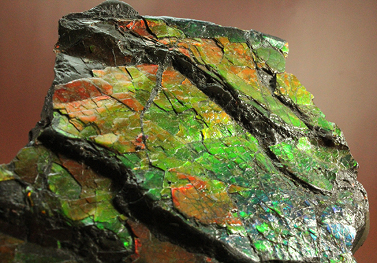 1.4kg！朱色から緑、青まで。発色が良いアンモライトピース（Ammolite）