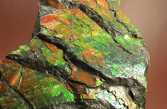 1.4kg！朱色から緑、青まで。発色が良いアンモライトピース（Ammolite）（その12）