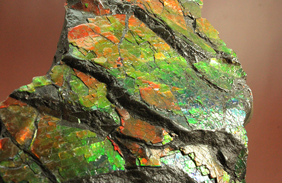 1.4kg!朱色から緑、青まで。発色が良いアンモライトピース(Ammolite)(その12)