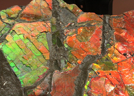 1.4kg!朱色から緑、青まで。発色が良いアンモライトピース(Ammolite)(その3)