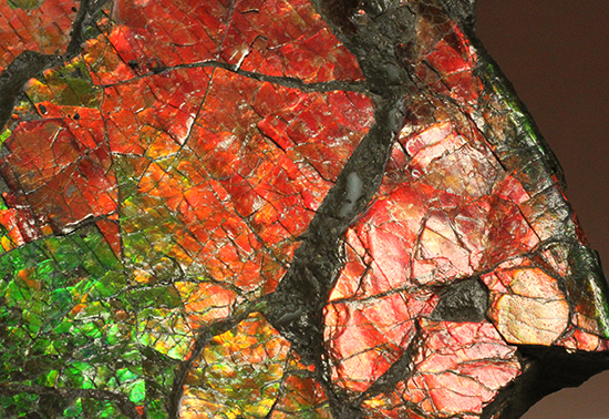 1.4kg!朱色から緑、青まで。発色が良いアンモライトピース(Ammolite)(その4)