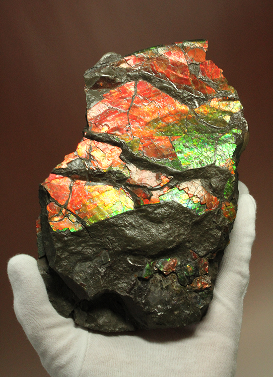 1.4kg！朱色から緑、青まで。発色が良いアンモライトピース（Ammolite）（その5）