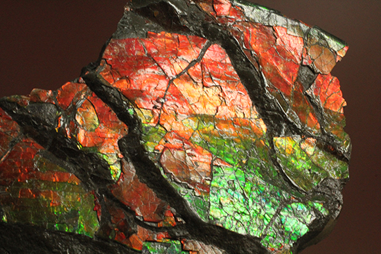 1.4kg！朱色から緑、青まで。発色が良いアンモライトピース（Ammolite）（その7）