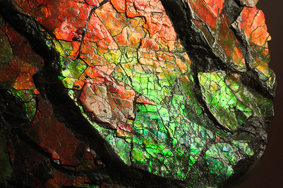 1.4kg!朱色から緑、青まで。発色が良いアンモライトピース(Ammolite)(その8)