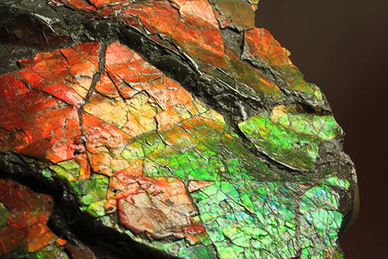 1.4kg！朱色から緑、青まで。発色が良いアンモライトピース（Ammolite）（その9）