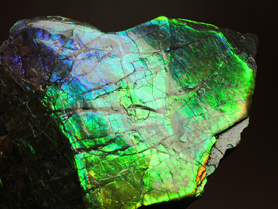 ブルーとグリーンが美しい！アンモライトのピース標本（Ammolite）（その1）