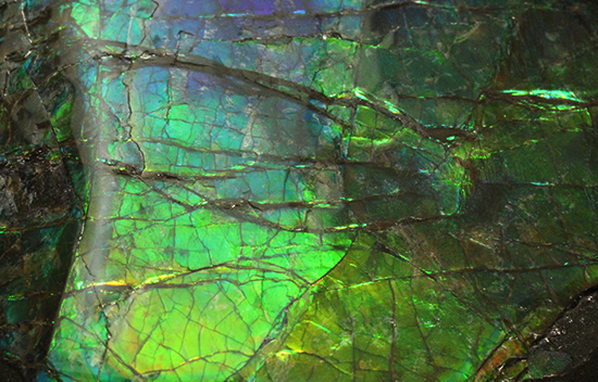 ブルーとグリーンが美しい!アンモライトのピース標本(Ammolite)(その13)