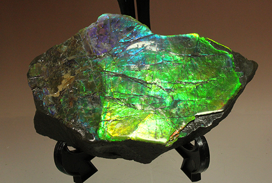 アンモライトのピース標本（Ammolite）