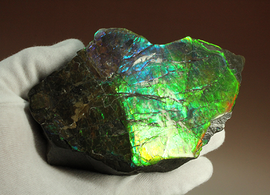 ブルーとグリーンが美しい!アンモライトのピース標本(Ammolite)(その3)