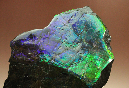 ブルーとグリーンが美しい！アンモライトのピース標本（Ammolite）（その4）
