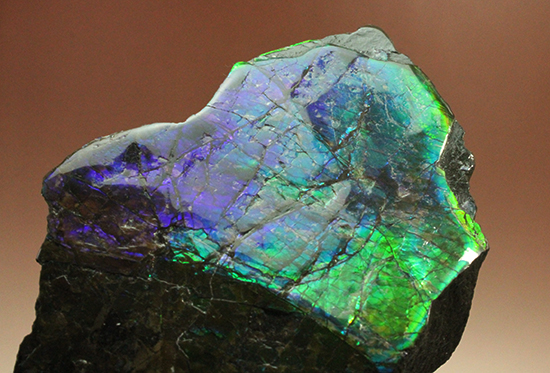 ブルーとグリーンが美しい!アンモライトのピース標本(Ammolite)(その4)