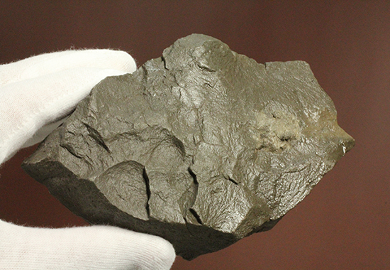 ブルーとグリーンが美しい!アンモライトのピース標本(Ammolite)(その7)