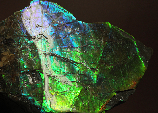 ブルーとグリーンが美しい!アンモライトのピース標本(Ammolite)(その8)