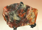 彩り美しいアリゾナ州産木化石（珪化木）