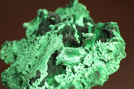 鮮やかな緑色鉱物、その名は翠銅鉱(すいどうこう:Dioptase)(その11)