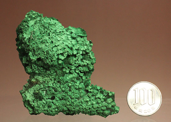 鮮やかな緑色鉱物、その名は翠銅鉱(すいどうこう:Dioptase)(その12)