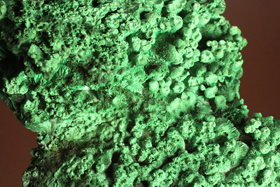 鮮やかな緑色鉱物、その名は翠銅鉱（すいどうこう：Dioptase）