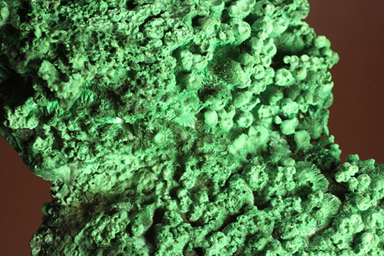 鮮やかな緑色鉱物、その名は翠銅鉱(すいどうこう:Dioptase)(その2)