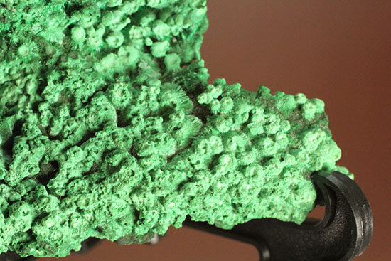鮮やかな緑色鉱物、その名は翠銅鉱(すいどうこう:Dioptase)(その3)