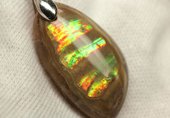 ラッキープライス!光るアンモナイトペンダントトップ(Ammonite)(その10)