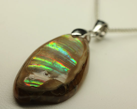 ラッキープライス!光るアンモナイトペンダントトップ(Ammonite)(その12)