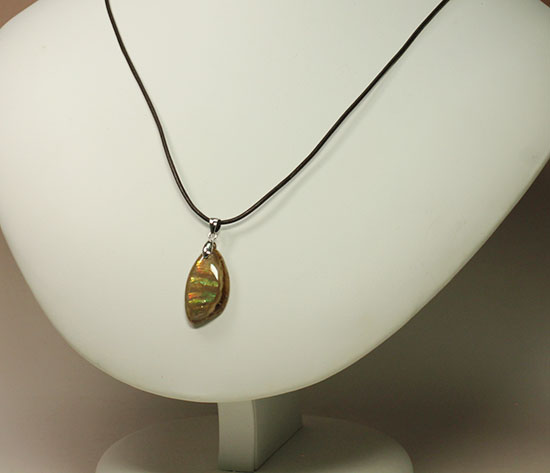ラッキープライス!光るアンモナイトペンダントトップ(Ammonite)(その13)