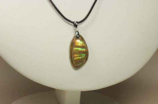 ラッキープライス!光るアンモナイトペンダントトップ(Ammonite)(その2)