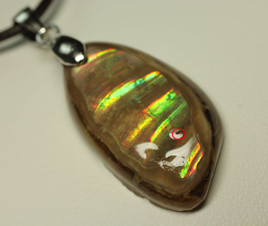 ラッキープライス!光るアンモナイトペンダントトップ(Ammonite)(その4)