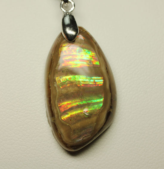 ラッキープライス!光るアンモナイトペンダントトップ(Ammonite)(その5)