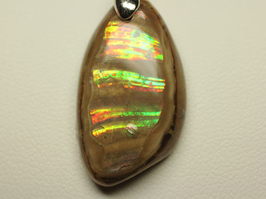 ラッキープライス!光るアンモナイトペンダントトップ(Ammonite)(その7)