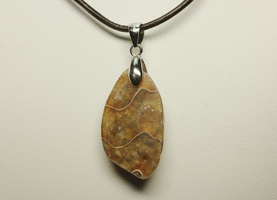 ラッキープライス!光るアンモナイトペンダントトップ(Ammonite)(その8)