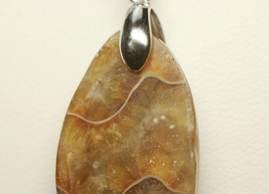 ラッキープライス!光るアンモナイトペンダントトップ(Ammonite)(その9)