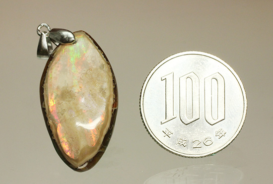 チャンスプライス!オレンジが中心に光るアンモナイトペンダントトップ(Ammonite)(その13)