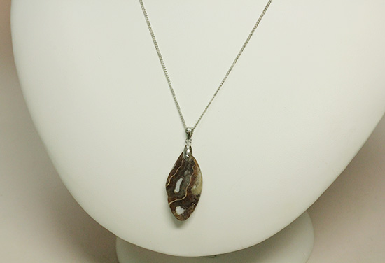 チャンスプライス!オレンジが中心に光るアンモナイトペンダントトップ(Ammonite)(その4)