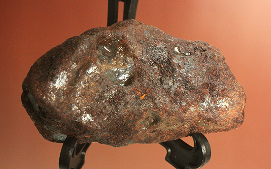 チャンスプライス！鉄隕石(Meteorite)産地不明ゆえに格安販売（その1）