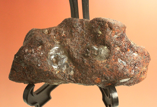 チャンスプライス！鉄隕石(Meteorite)産地不明ゆえに格安販売（その2）