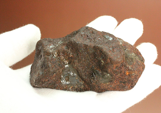 チャンスプライス！鉄隕石(Meteorite)産地不明ゆえに格安販売