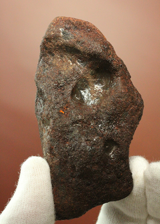 チャンスプライス！鉄隕石(Meteorite)産地不明ゆえに格安販売（その6）