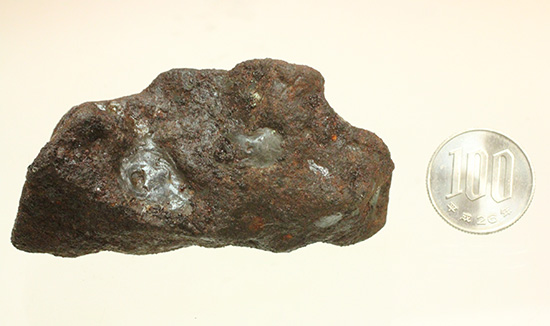 チャンスプライス！鉄隕石(Meteorite)産地不明ゆえに格安販売