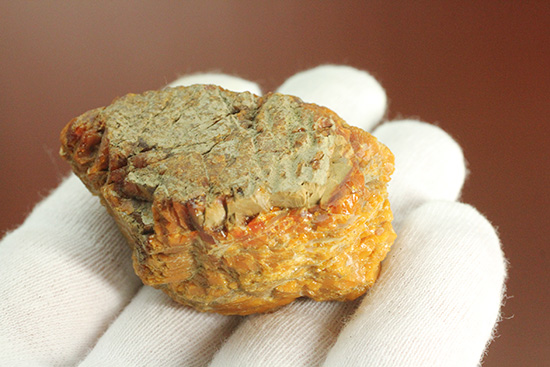 恐竜時代の国産琥珀 岩手県久慈市宇部町産(Amber)(その4)