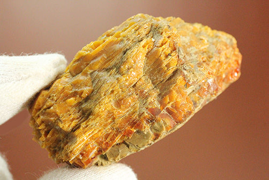 恐竜時代の国産琥珀 岩手県久慈市宇部町産(Amber)(その5)