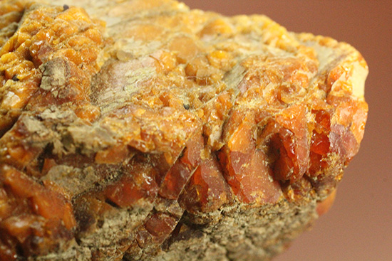 恐竜時代の国産琥珀 岩手県久慈市宇部町産(Amber)(その6)