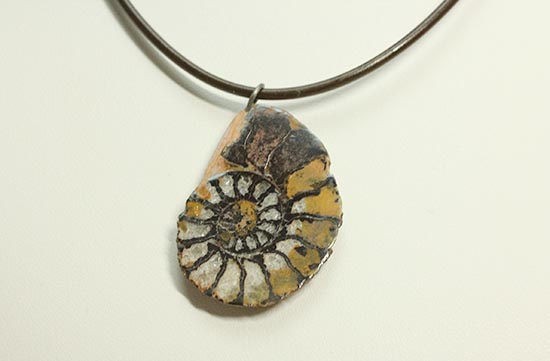 本物アンモナイトを身に付けませんか?アンモナイトチョーカー(Ammonite)(その11)