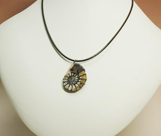 本物アンモナイトを身に付けませんか?アンモナイトチョーカー(Ammonite)(その12)
