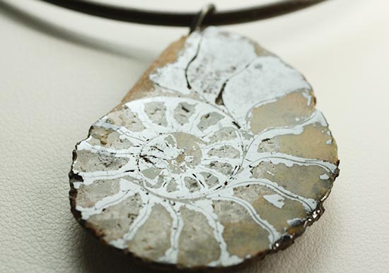 本物アンモナイトを身に付けませんか?アンモナイトチョーカー(Ammonite)(その5)