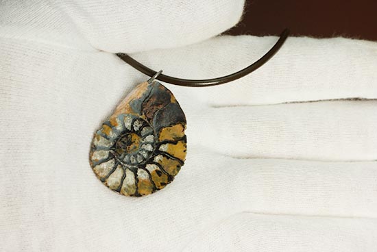 本物アンモナイトを身に付けませんか?アンモナイトチョーカー(Ammonite)(その6)