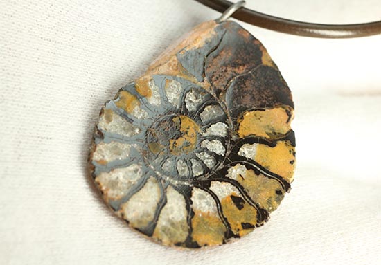 本物アンモナイトを身に付けませんか?アンモナイトチョーカー(Ammonite)(その7)