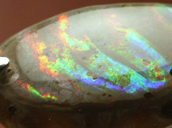 青から赤まで多彩に光る、アンモナイトペンダントトップ(Ammonite)(その2)