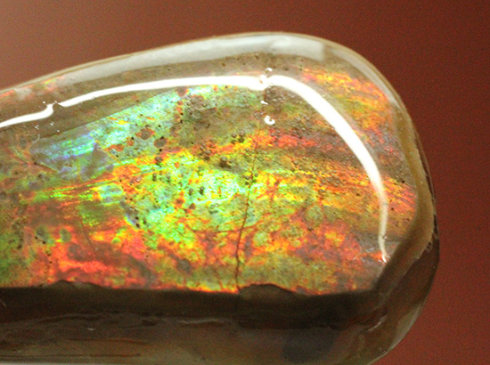 雫型のフォルムの良さがご自慢!幻想的に輝く光るアンモナイトペンダントトップ(Ammonite)(その7)