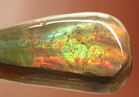 雫型のフォルムの良さがご自慢!幻想的に輝く光るアンモナイトペンダントトップ(Ammonite)(その9)